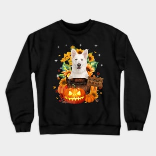 White German Shepherd Halloween Pumpkin Fall Bucket Crewneck Sweatshirt